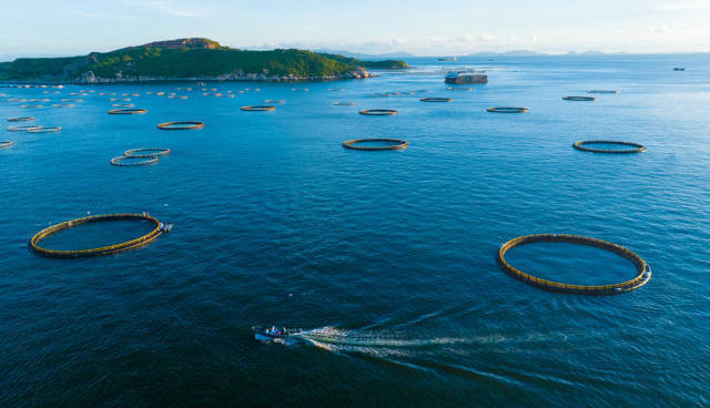 绿色生态海洋牧场