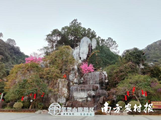 笔架山景区繁花盛开，为第二场音乐会打造出绝佳的自然背景。