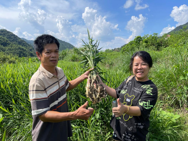 通过九龄后农业专业合作社，夏丽娴已经带动周边100余户农户增收。