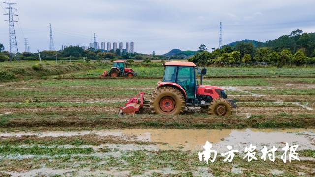 石乡合作社正抓紧对紫云英翻压还田，备战春耕