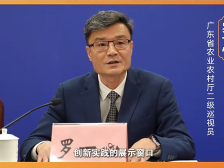 剧透｜三展同台！2025“食博会·预博会”将成“三博会”