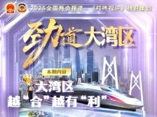 大湾区越“合”越有“利” | “劲”道大湾区⑤