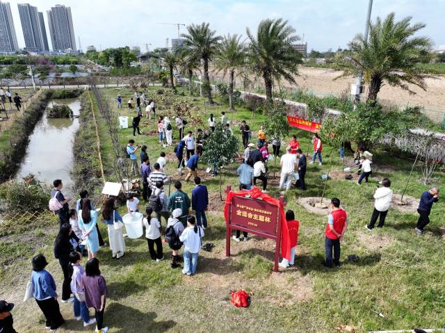 全运会主题林 通讯员 林荫 供图 全运会主题林 通讯员 林荫 供图