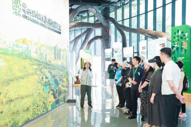 红树林基金会志愿者在给公众进行科普展馆导览  受访者供图