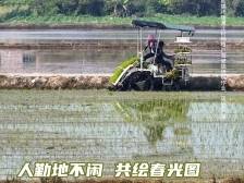 晨观山海｜人勤地不闲 共绘春光图