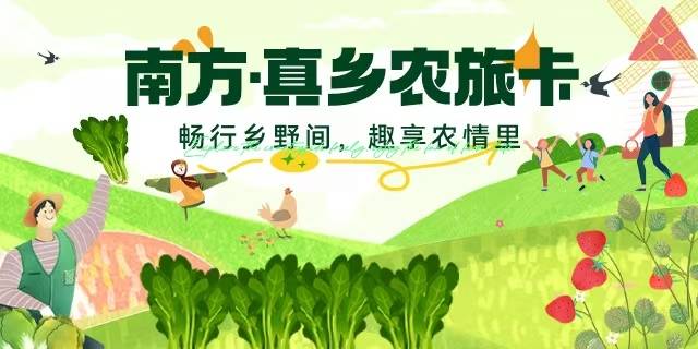 受訪者供圖