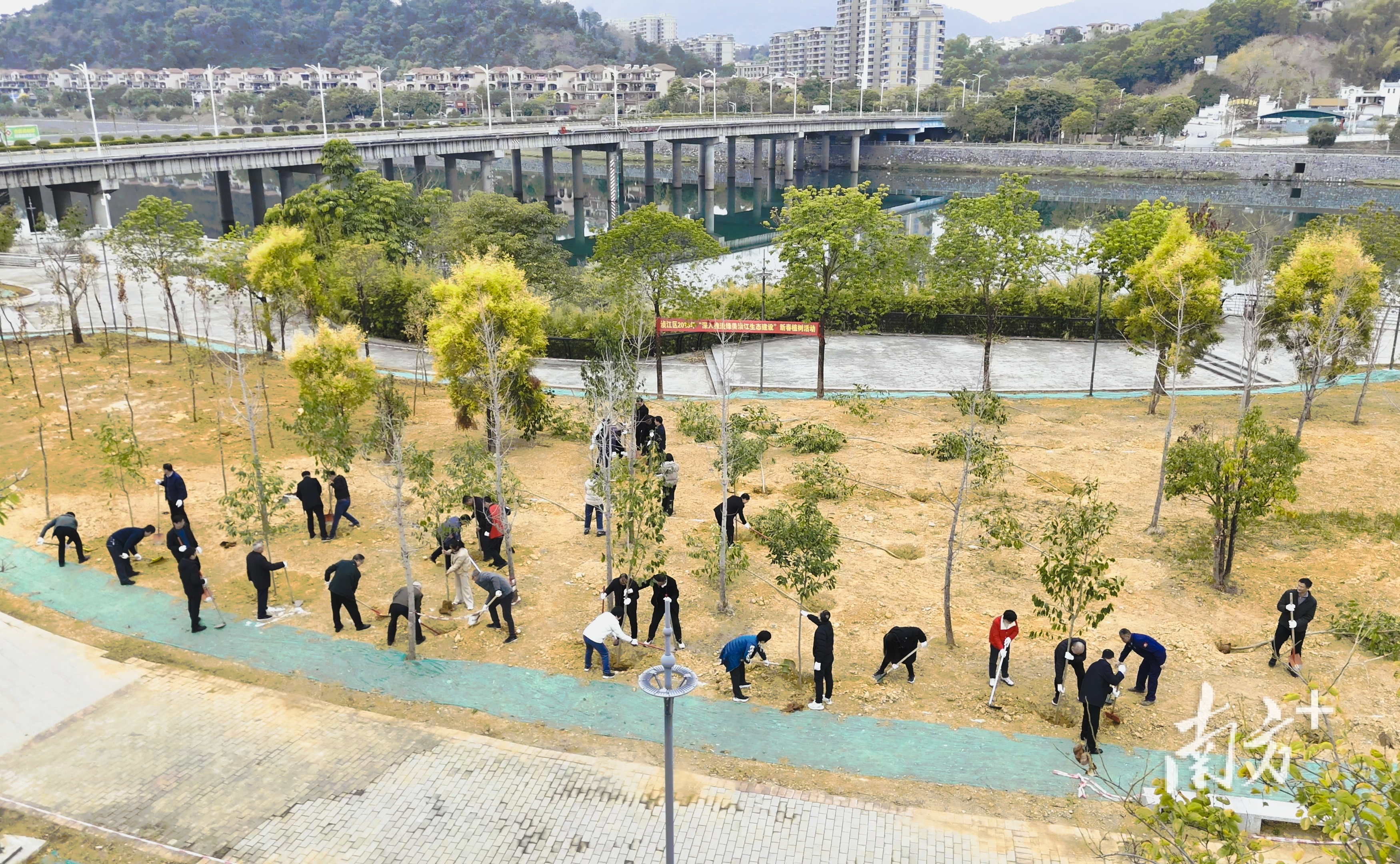 植樹節(jié)，廣東定下全年200萬人參與義務(wù)植樹“小目標”