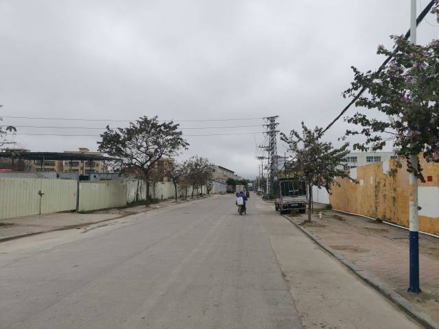 改造前的花城村  受访者供图