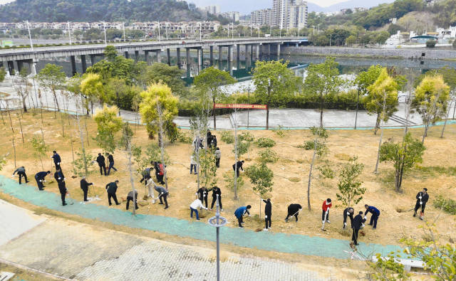 韶关市浈江区睁开新春植树行动