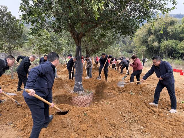 广州增城睁开植树行动  通讯员 林荫 供图