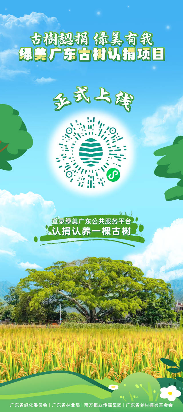 扫码参与绿美广东古树认捐项目 扫码参与绿美广东古树认捐项目