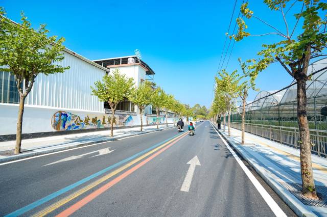 紫荆绿廊大道&nbsp;