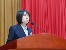 连州两会·委员声音｜李蕾：多管齐下，激活连州文旅康养特色产业新动能