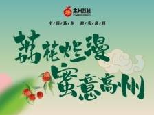 赏花叹蜜首站走起！揭秘茂名高州平山荔枝“受宠”的生态密码