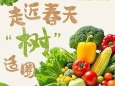 走进春天“树”适圈！与“食博会·预博会”交个朋友