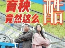 视频｜这“秧”真COOL！清远工厂化育秧让春耕更高效！