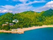 大鹏三街道文旅“突破清单”已亮相，你期待哪些项目？｜竞速“突破年”