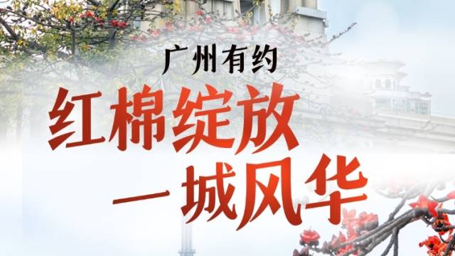 广州有约！红棉绽放，一城风华｜南方+视频