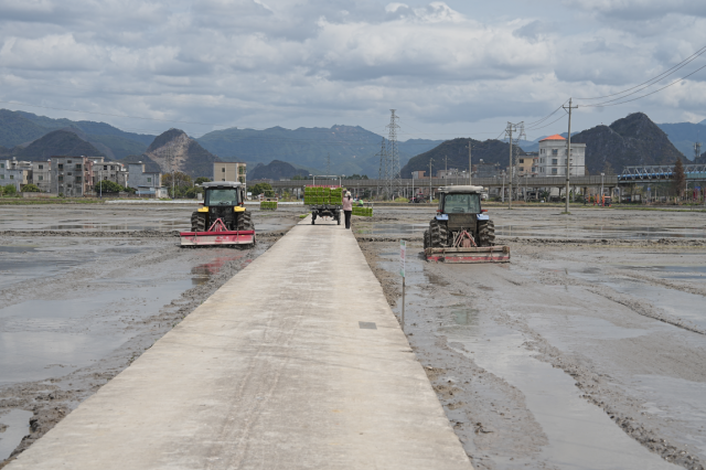 无人旋耕机在水田作业中。