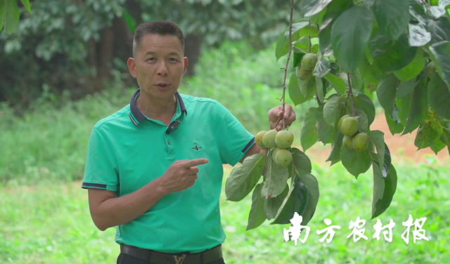 陈伟光在欣赏自己的劳动成果