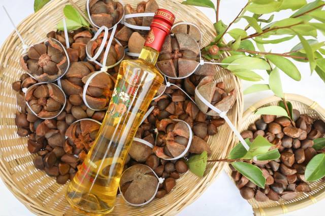 提升广东油茶附加值，将油茶生态优势转化为发展优势。