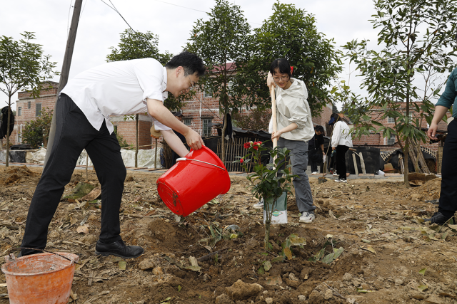 植樹現(xiàn)場