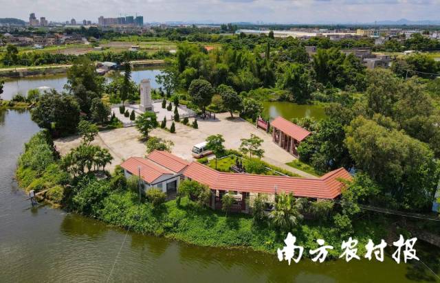 焕然一新的田金村。