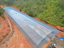 一粒丝苗米的成长之旅｜梅县区全域土地综合整治系列报道②