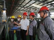 在江门，人才竞速“狂飙”｜百万英才汇南粤