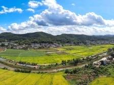 南口镇南龙村：700亩撂荒地的“重生”密码｜梅县区全域土地综合整治系列报道③