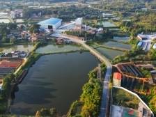 韶关武江：为“百千万工程”充“植”，共绘绿美乡村新画卷