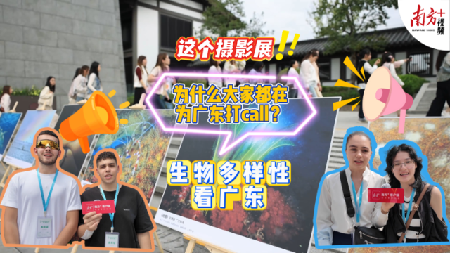 这个摄影展，为什么大家都在为广东打call？｜生物多样性看广东