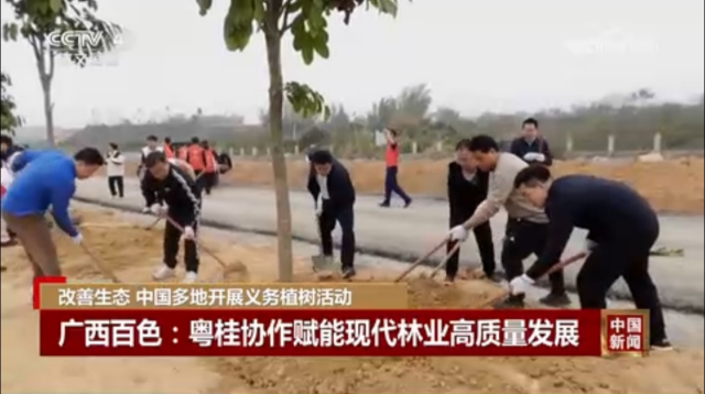 央媒聚焦｜百色田阳粤桂协作的“绿动密码”：从点绿成金到低碳领跑