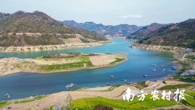 册亨县坐落于珠江上游的南、北盘江交汇点，气候温润，风景优美。吴宇辉的荔枝园就位于北盘江边。