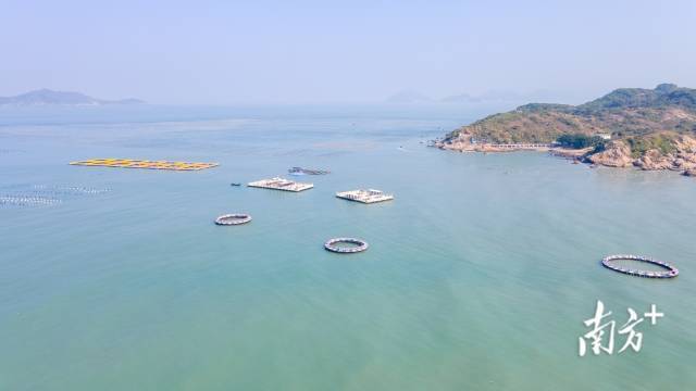 国泰海洋牧场。