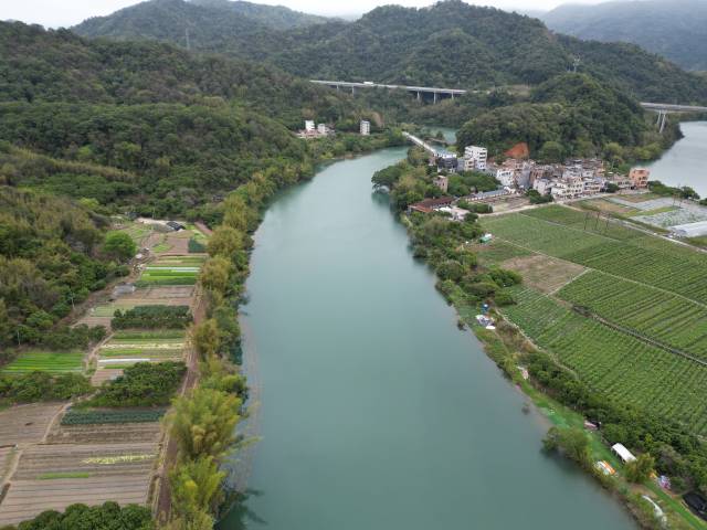 流溪河2050㎡鱼类“安居房”完工！从化区铺设人工鱼巢保护生物多样性