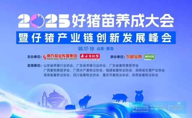 巨变！山东生猪放养量接近2000万头，温氏、新希望、海大等放养团队纷纷布局，养猪业卷“轻资产”