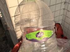 视频 | 一次性水瓶回收再装水出售？事发江门高校：停止采购，全部下架