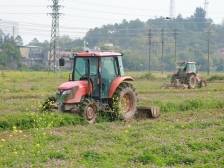 专家齐点赞！解码45万亩紫云英背后的绿肥产业“广东模式”