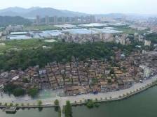 花都岐山村：凤鸣岐山，有产有乡愁｜广州百村观察