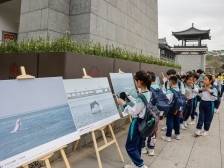 从童话走到现实，小学生们在这个摄影展里探秘奇妙世界｜生物多样性看广东