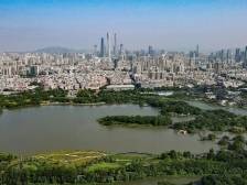 广东证监局：监管执法“长牙带刺”，提高投资者保护水平