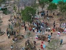 以“城市合伙人”之名，广州为全运添“绿”