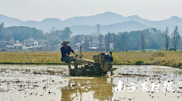 一六镇罗屋村田间地头春耕备耕情景