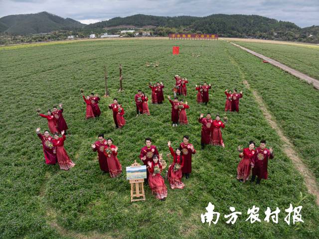 圖：“紫云花海，映影幸?！编l(xiāng)村綠美文化婚慶活動在河源市東源縣柳城鎮(zhèn)的萬綠智慧無人農(nóng)場示范基地舉行,。