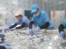 广东督促“保水虾仁”涉事企业召回相关产品