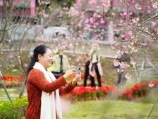 湾区春游新“花”样