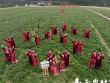 紫云花开幸福来，乡风文明倡新风