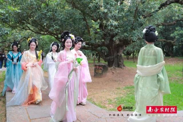 “十二花神”打卡根子貢園,。 