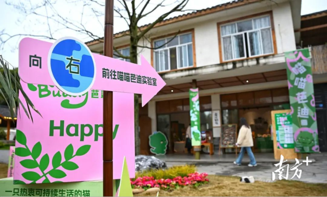 喵喵芭迪可持续好物实验室。